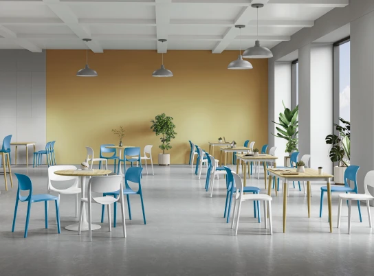 Restaurants & Commercial Dining